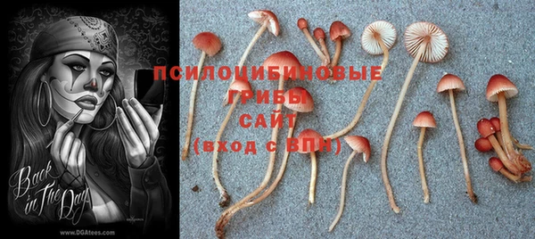 гашик Балабаново