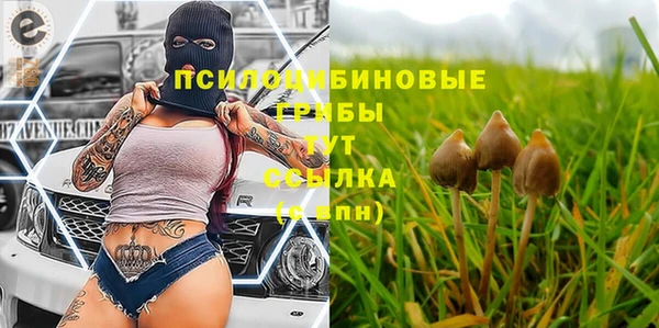 тгк Ступино