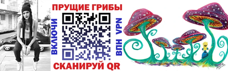 Псилоцибиновые грибы GOLDEN TEACHER  Сим 